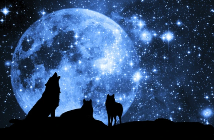 šŗ THE NAVAJO LEGEND: The Dark Mystery of the Skinwalker