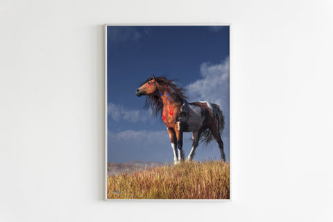 Powwow Store gb nat00428 brown white horse native canvas