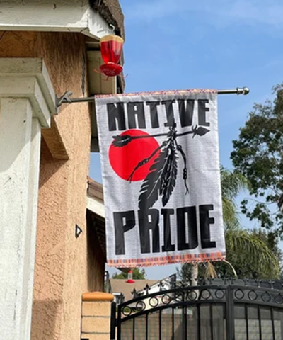 Powwow StoreFL0004 Native Pride Color Flag Decor