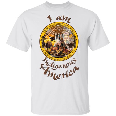 I Am Indigenous America G500 Gildan 5.3 oz. T-Shirt - Powwow Store